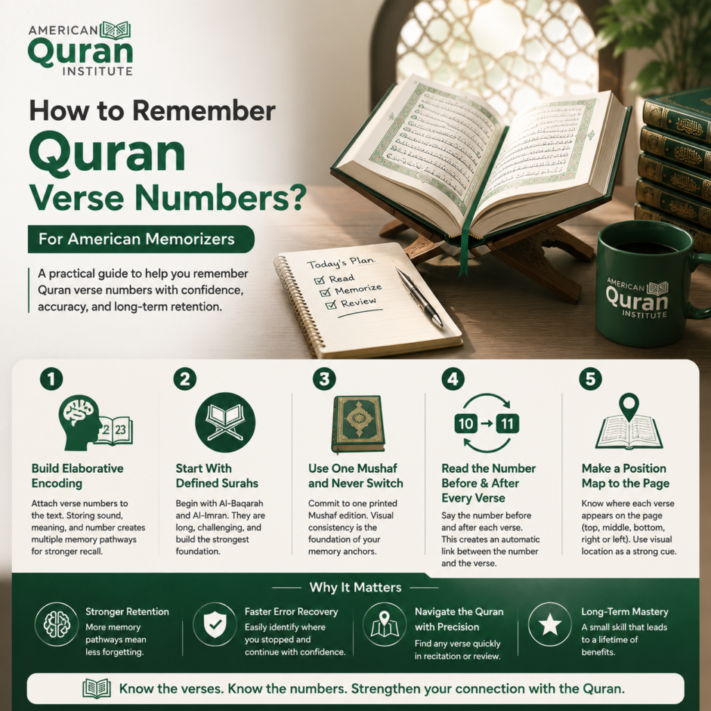 How to Remember Quran Verse Numbers? – For American Memorizers