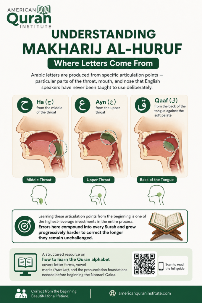How To Learn To Read Quran For Adults In The USA? 3 image 116