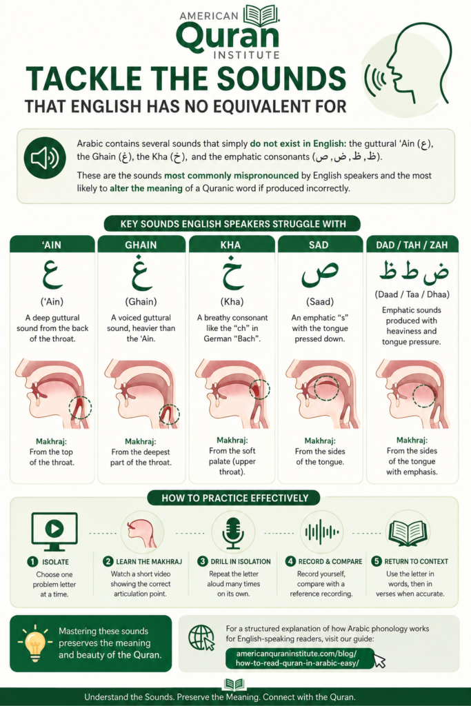 How To Learn To Read Quran By Yourself In The USA? 11 image 129