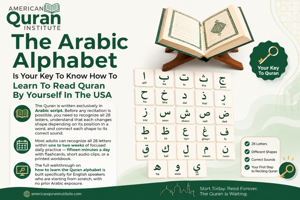 How To Learn To Read Quran By Yourself In The USA? 1 image 131